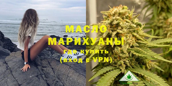 mdpv Бородино