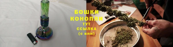 mdpv Бородино