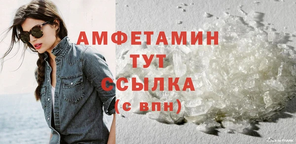 mdpv Бородино