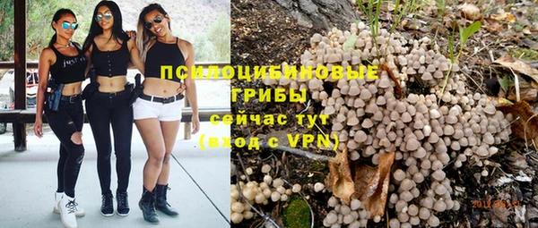mdpv Бородино